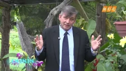 Oasis del Alma 2026 - Español 01
