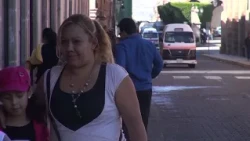 Three alleged extortionists of transport workers arrested in Morelia