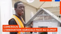 Cameroun : une serre intelligente pour défier les aléas climatiques
