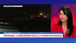 Emmanuelle Halioua: "Post-traumatic stress disorder could appear later for some"