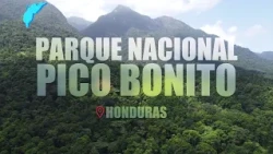 Natural Adventure at Pico Bonito National Park