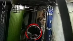 Roban cinco bolsas de ropa de un local del Mercado 4