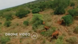 AirVuz Drone Video of the Month - August 2026