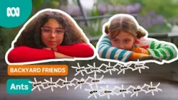 Making friends with backyard ants! 🐜 | Gardening Australia Junior | ABC Kids