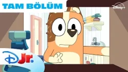 Bluey Yeni Tam Bölüm | Bluey | @DisneyPlusTR
