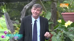 Oasis del Alma 2026 - Español 04