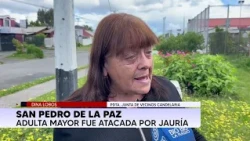 Brutal Attack in San Pedro de la Paz: Pack of Dogs Seriously Injures Elderly Woman