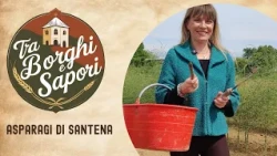 TRA BORGHI E SAPORI - Gli asparagi di Santena