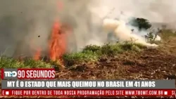 MT IS THE BRAZILIAN STATE WITH THE MOST BURNED LAND IN 41 YEARS