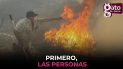 Wildfires: Sánchez blames it all on the climate pact