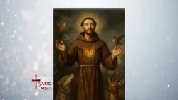 Holy Mass - Tuesday, July 14