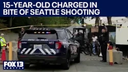 15-year-old charged in Bite of Seattle shooting that killed 3 | FOX 13 Seattle