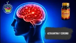 ASTAXANTINA Y CEREBRO
