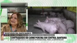 PULSO ECONÓMICO l EDICIÓN 29/08/2026
