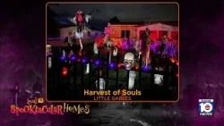 Local 10 highlights Spooktacular home in Little Gables