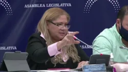 PAOLO LÜERS Y COMISIÓN DE ANTEJUICIO CONTRA NORMAN QUIJANO