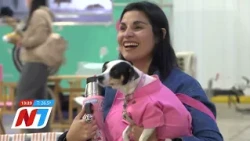SANTIAGO RECIBIÓ A LOS MEJORES PELUQUEROS CANINOS DEL PAÍS