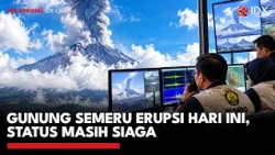 Gunung Semeru Erupsi Hari Ini, Status Masih Siaga | IDXC UPDATE