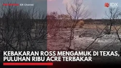 Kebakaran Ross Mengamuk di Texas, Puluhan Ribu Acre Terbakar | IDXC UPDATE