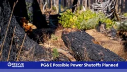 PBS KVIE News Minute | October 14, 2026