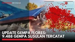 Update Gempa Flores: 9.488 Gempa Susulan Tercatat | IDXC UPDATE