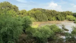 Flooding at local San Antonio trailhead