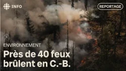 Wildfire concerns in Pemberton