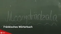 Franconian Dictionary: "Magentretzerlein"