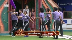 #BBMS8Promo ആര് നേടും ആര് വീഴും