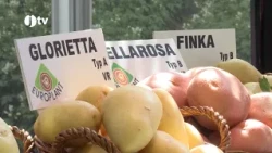 Jihočeská televize 25.8.2017