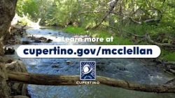 McClellan Ranch Creek Tours