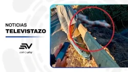 Quito: Decapitated body found in the north of the capital | Televistazo | Ecuavisa