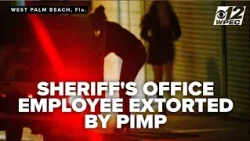 PBSO employee says he was extorted for $4,000 after soliciting prostitute
