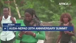 Africa : USD3 trillion per year for Agenda 2063