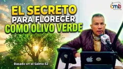 The Secret to FLOURISHING in the Storm: Be a Green Olive Tree - Pastor Henry Martinez