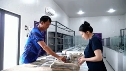 VISIT TINH KHE, SEE ANCIENT ARTIFACTS | QNgTV