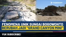 Viral! Sungai Bogowonto Berubah Jadi "Grand Canyon Mini" saat Kemarau Panjang | NTV TODAY