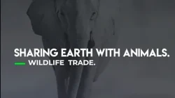 Positively GEM: Sharing the Earth