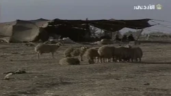 From the Jordanian Television Archives🎶 🇯🇴 | A Tour of the Badia 1994