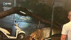 Stuhia e furishme/ Humb jetën elektriçisti i OSHEE, 54-vjeçari po riparonte defektin pas stuhisë