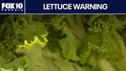 Shredded iceberg lettuce linked to cyclosporiasis outbreak | FOX 10 Phoenix