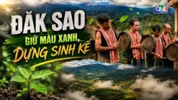 DAK SAO – PRESERVING THE GREEN, BUILDING LIVELIHOODS | QNgTV