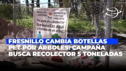 Fresnillo exchanges PET bottles for trees; campaign aims to collect five tons