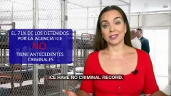 La inmigración como excusa
