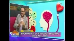 THE IMPORTANCE OF EMOTIONAL INTELLIGENCE