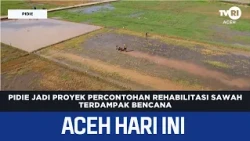 Pidie Selected as Pilot Project for Disaster-Affected Rice Field Rehabilitation | Aceh News Today