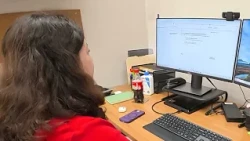 Business License Applications Move to New Online System