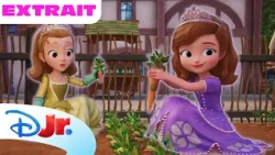 Des légumes de fête 🥕🍅 Princesse Sofia : apprentie magicienne | Extrait