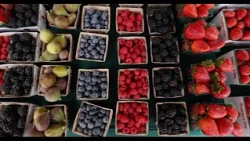 Concord Music & Market Highlights - September 24, 2026