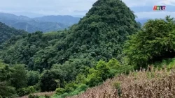 Xuan Quang: Urgently relocating residents in landslide-prone areas | THLC